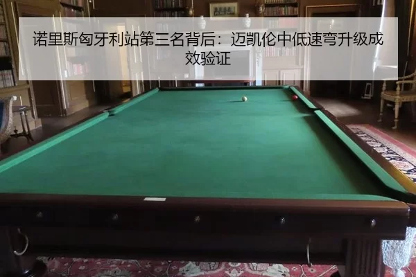 nuo-li-si-xiong-ya-li-zhan-di-san-ming-bei-hou-mai-kai-lun-zhong-di-su-wan-sheng-ji-cheng-xiao-yan-zheng-2-327.jpg